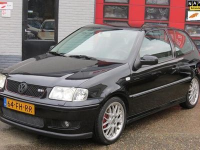 VW Polo