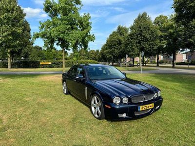 Jaguar XJR