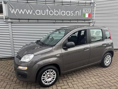 Occasion Fiat Panda Lounge 69 PK (50 kW) 2020 Hatchback Hatchback