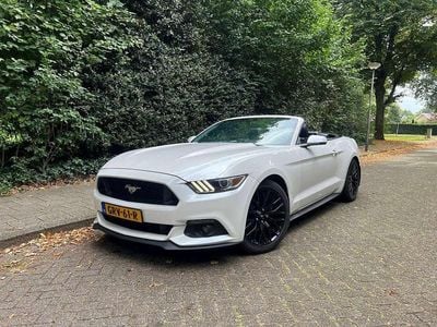 Occasion Ford Mustang GT Performance Edition 310 PK (228 kW) 2018 Wit Cabriolet