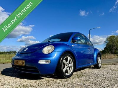 VW Beetle