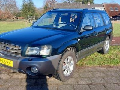 tweedehands Subaru Forester 2.0 AWD X