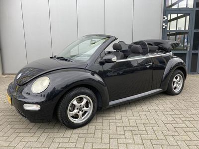 VW Beetle