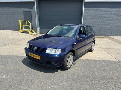 VW Polo