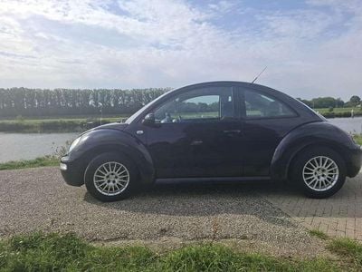 VW Beetle