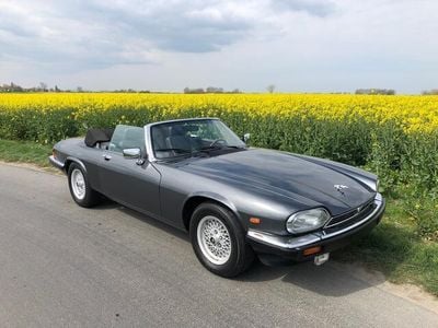 Occasion Jaguar XJS S 295 PK (216 kW) 1990 Overige Cabriolet