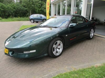 tweedehands Pontiac Firebird 5.7 Trans AM Targa 5.7-V8. Gereviseerde Motor! Zeer Netjes!