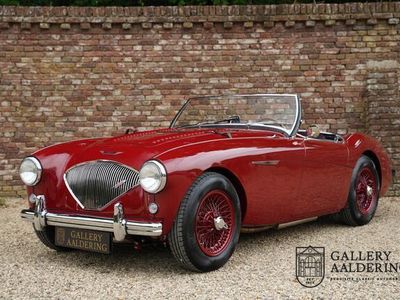 tweedehands Austin Austin-Healey 100 Austin-Healey 100 Roadster PRICE REDUCTION! 100M Specification Matching numbers, Matching colours, Completely restored