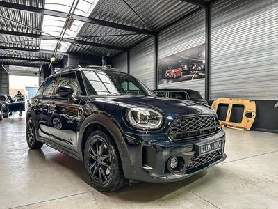 tweedehands Mini Cooper S Countryman 2.0 Yours aut 178pk Sage green/bruin leer/pan