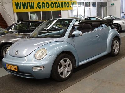 VW Beetle