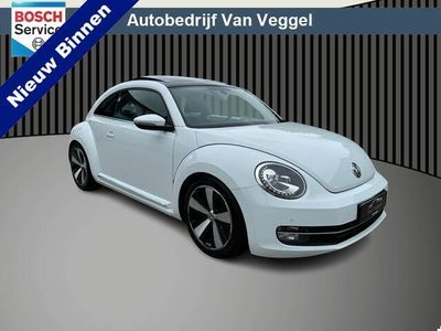 VW Beetle