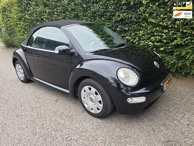 VW Beetle