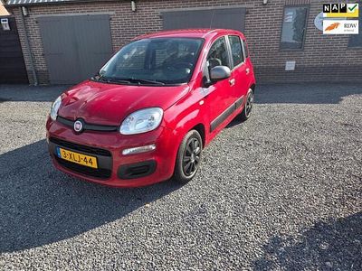 Occasion Fiat Panda Young 60 PK (44 kW) 2014 Rood Hatchback