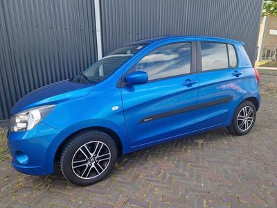 Suzuki Celerio