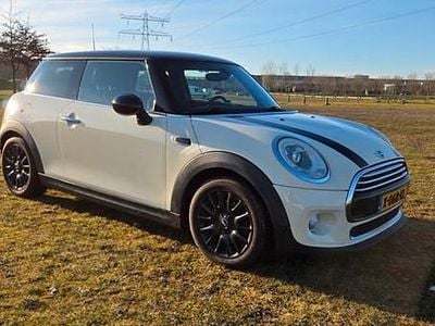 Occasion Mini Cooper 136 PK (100 kW) 2014 Hatchback