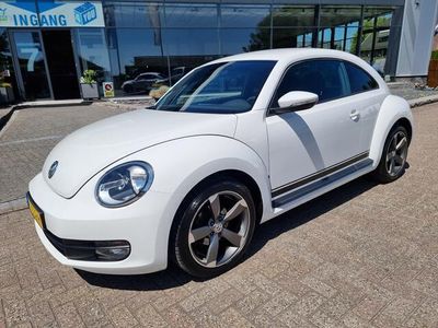 VW Beetle