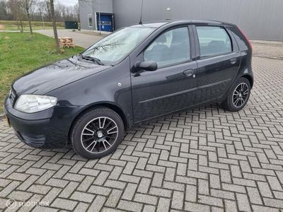 tweedehands Fiat Punto 1.2 Classic