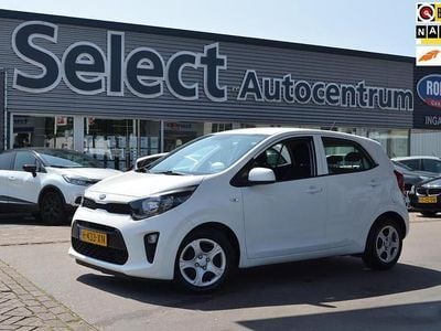 Wit Occasion 2020 Kia Picanto Comfort Hatchback | € 9.250 (Eerlijke prijs)