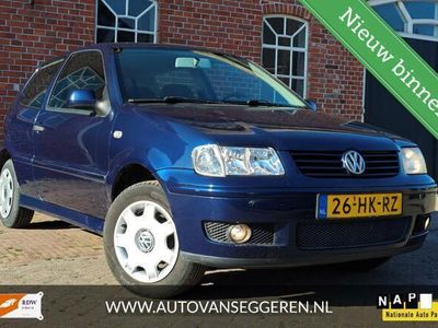 VW Polo