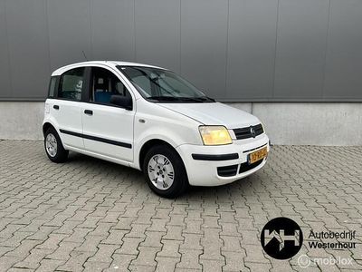 Wit Gebruikt 2005 Fiat Panda Dynamic Hatchback | € 1.095 (Goede deal)