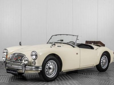 Occasion MG 1600 79 PK (58 kW) 1961 Wit