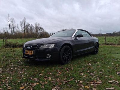 Zwart Gebruikt 2011 Audi A5 Cabriolet Cabriolet | € 12.999
