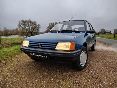 Blauw Occasion 1989 Peugeot 205 Hatchback | € 4.350