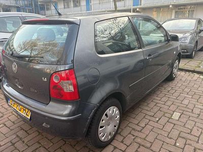 VW Polo