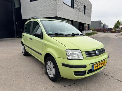 tweedehands Fiat Panda 1.2 Dynamic