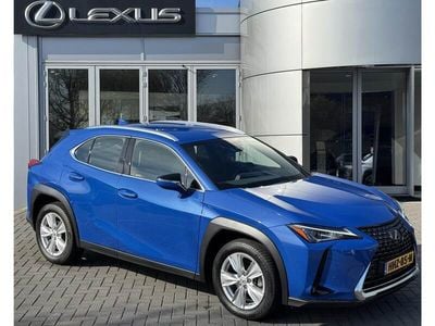 Occasion Lexus UX Business Edition 184 PK (135 kW) 2021 Blauw SUV