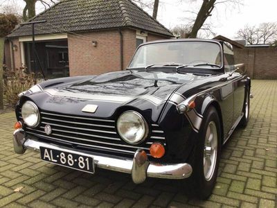 Triumph TR 250