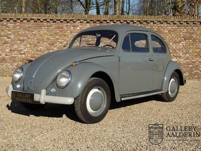 tweedehands VW Beetle (NEW) Oval 1200 matching numbers, full known history, only 3 owners!