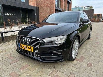 tweedehands Audi A3 e-tron Amb. PL