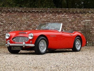 Occasion Austin Healey 100/6 1959 Rood Cabriolet