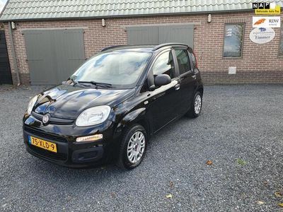 Zwart Gebruikt 2012 Fiat Panda Easy Hatchback | € 4.250 (Eerlijke prijs)