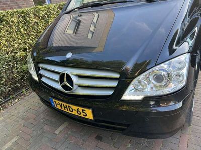 Mercedes Viano