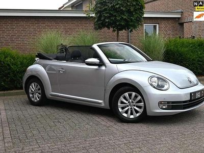 VW Beetle