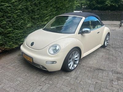 VW Beetle
