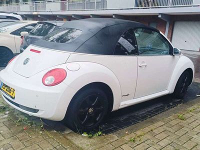 VW Beetle