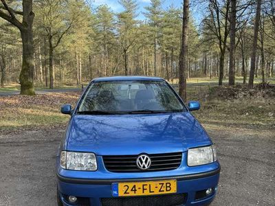 VW Polo