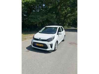 Occasion Kia Picanto 67 PK (49 kW) 2019 Wit Hatchback