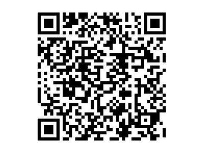 Occasion Ford Tourneo Titanium X 232 PK (170 kW) 2024 Zwart