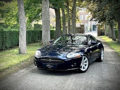 Jaguar XK
