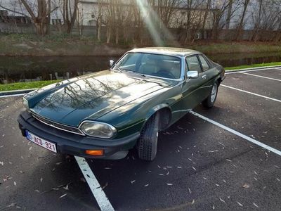 Occasion Jaguar XJS S 1978 Groen Coupé