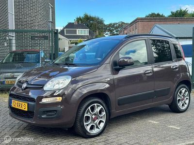 Bruin Gebruikt 2012 Fiat Panda Lounge Hatchback | € 3.999 (Eerlijke prijs)