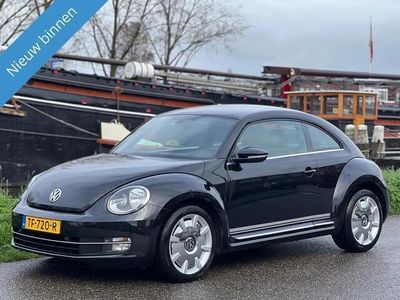 VW Beetle