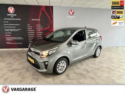 Grijs Occasion 2023 Kia Picanto Hatchback | € 13.350 (Eerlijke prijs)
