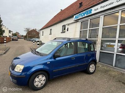 tweedehands Fiat Panda 1.1 Active Plus nieuwe APK