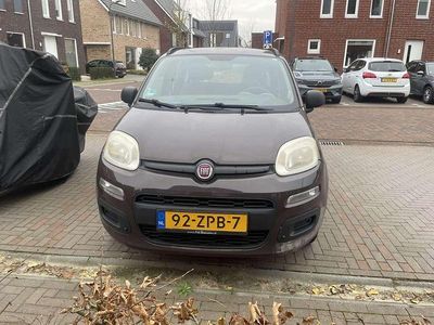 Bruin Gebruikt 2013 Fiat Panda Easy MPV | € 2.250 (Eerlijke prijs)