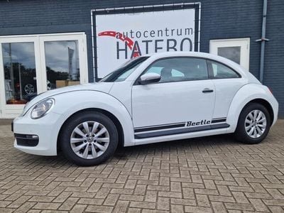 VW Beetle